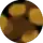Redwood Tortoise - Smoke Gradient Lens